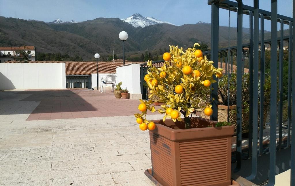 Cartoline Dall'Etna B&B Zafferana Etnea Exterior foto